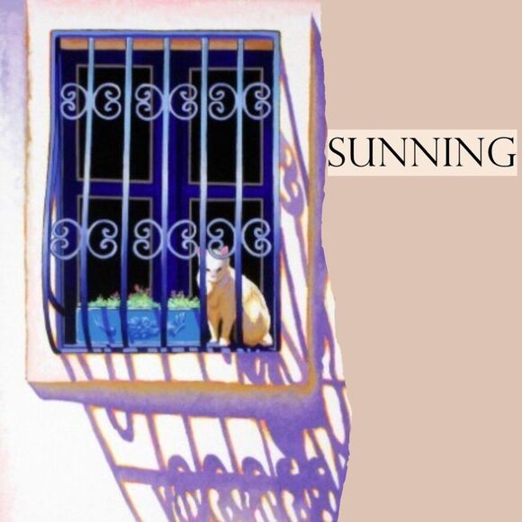 Medvedev Other - "Sunning" by Igor Medvedev Serigraph Appraised at $615